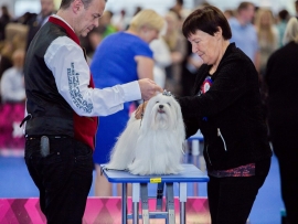 Euro Dog Show Brünn 2014