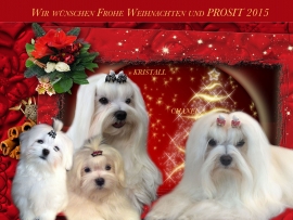 Frohe Weihnachten und PROSIT 2015