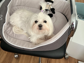 Katharina 7 Jahre alt