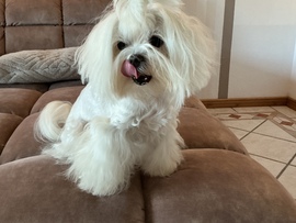 Orpheus 4 Jahre neue Fotos