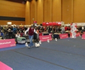 Aurora_10_Monate_Show_15___1.jpg