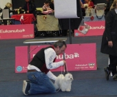 Aurora_10_Monate_Show_19___1.jpg