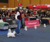 Aurora_10_Monate_Show_20___1.jpg