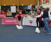 Aurora_10_Monate_Show_21___1.jpg