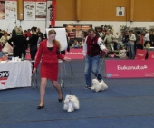 Aurora_10_Monate_Show_5___1.jpg