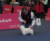 Aurora_10_Monate_Show_8___1.jpg