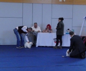 Ausstellung_Wieselburg_Donna_Anna_3___1.jpg