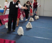 Ausstellung_Wieselburg_Giovanni_7___1.jpg