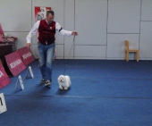 Ausstellung_Wieselburg_Giovanni_9___1.jpg