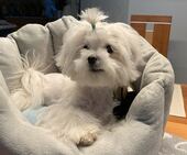 Bailey_5,5_Monate_7_-_1.jpg
