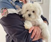 Bailey_6_Monate_14_-_1.jpg