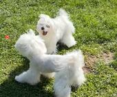 Bailey_6_Monate_23_-_1.jpg