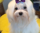Coco_Chanel_10_Monate_17_-_1.jpg