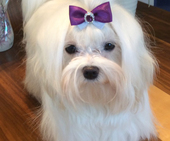 Coco_Chanel_10_Monate_48_-_1.jpg