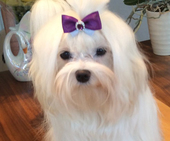Coco_Chanel_10_Monate_51_-_1.jpg
