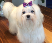 Coco_Chanel_10_Monate_55_-_1.jpg