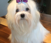 Coco_Chanel_10_Monate_63_-_1.jpg