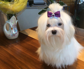Coco_Chanel_10_Monate_67_-_1.jpg