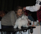Don_Giovanni_4_Monate_Show_21___1.jpg