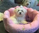 Emmie_6_Monate_11_-_1.jpg