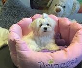 Emmie_6_Monate_12_-_1.jpg