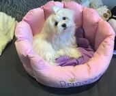 Emmie_6_Monate_13_-_1.jpg