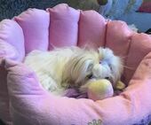 Emmie_6_Monate_17_-_1.jpg
