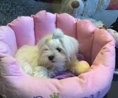 Emmie_6_Monate_22_-_1.jpg