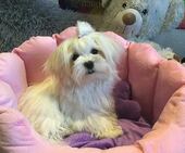 Emmie_6_Monate_3_-_1.jpg