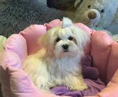 Emmie_6_Monate_4_-_1.jpg