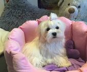 Emmie_6_Monate_5_-_1.jpg