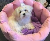Emmie_6_Monate_6_-_1.jpg