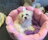 Emmie_6_Monate_7_-_1.jpg
