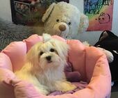 Emmie_6_Monate_8_-_1.jpg