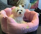 Emmie_6_Monate_9_-_1.jpg