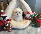 Hailey_3_Mon_13_-_1.jpg