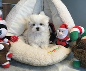 Hailey_3_Mon_16_-_1.jpg
