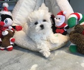 Hailey_3_Mon_20_-_1.jpg
