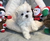 Hailey_3_Mon_21_-_1.jpg