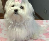 Hailey_6_Monate_15_-_1.jpg