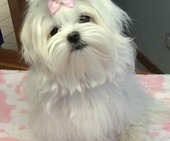 Hailey_6_Monate_17_-_1.jpg