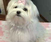 Hailey_6_Monate_18_-_1.jpg