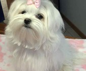 Hailey_6_Monate_20_-_1.jpg