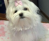 Hailey_6_Monate_21_-_1.jpg