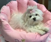 Hailey_6_Monate_24_-_1.jpg