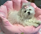 Hailey_6_Monate_26_-_1.jpg