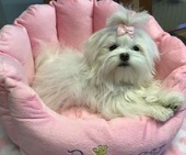 Hailey_6_Monate_28_-_1.jpg