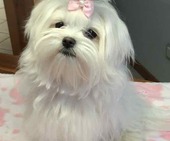 Hailey_6_Monate_2_-_1.jpg