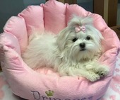 Hailey_6_Monate_32_-_1.jpg