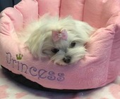 Hailey_6_Monate_33_-_1.jpg